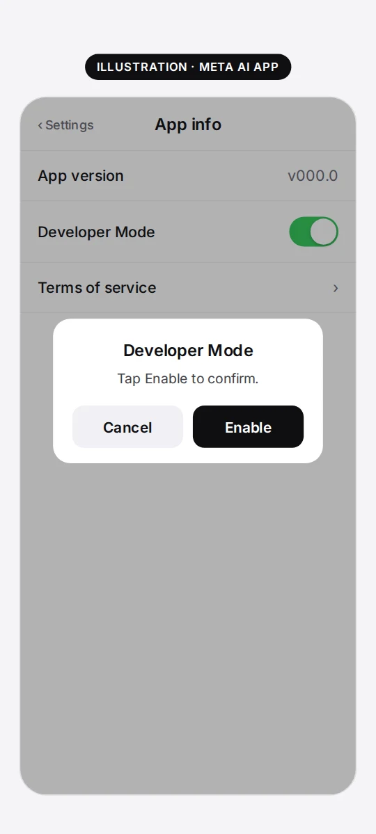 Illustration: turn on Developer Mode, then tap Enable.